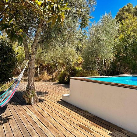 Hotel Glamping Do Ze Cernache do Bonjardim Esterno foto