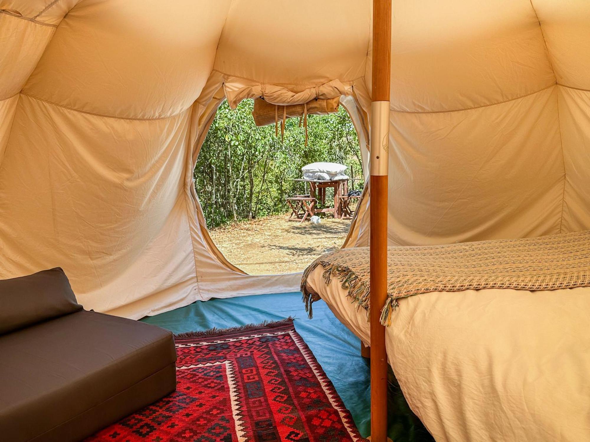 Hotel Glamping Do Ze Cernache do Bonjardim Esterno foto