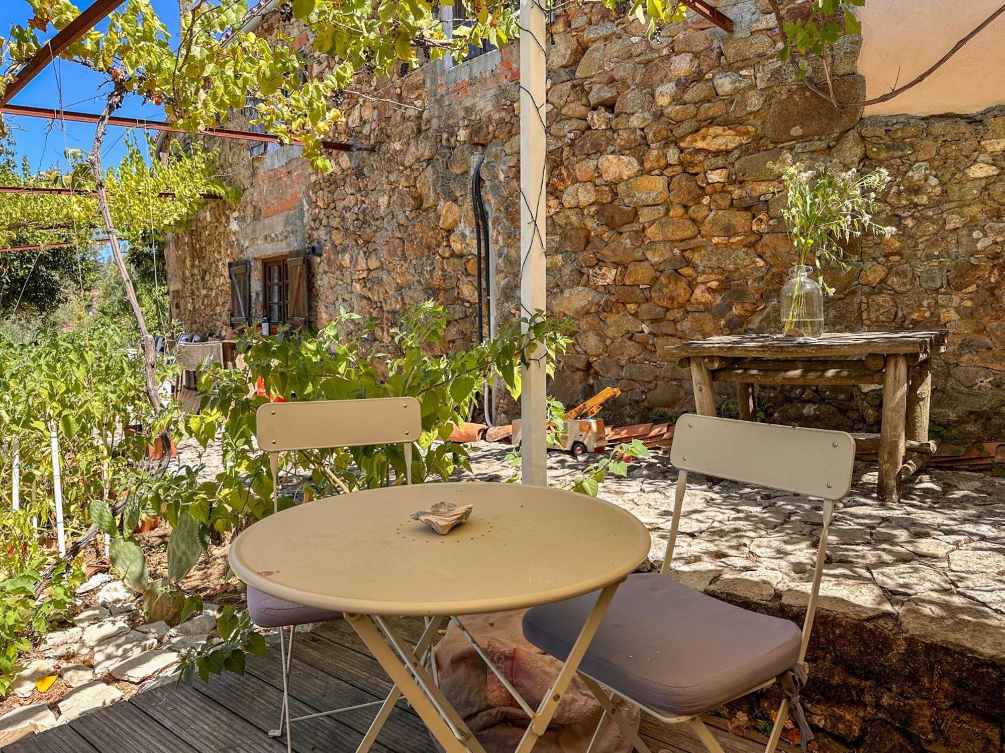 Hotel Glamping Do Ze Cernache do Bonjardim Esterno foto